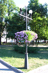 Image showing Lanterns in city park with hanging flowers