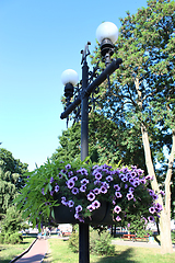 Image showing Lanterns in city park with hanging flowers