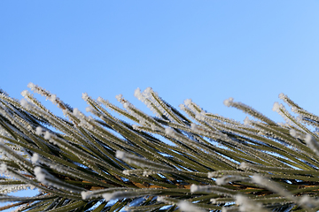 Image showing Snow drifts in winter