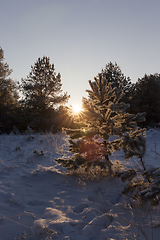 Image showing Snow drifts in winter