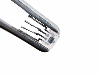 Image showing Optron in tweezers