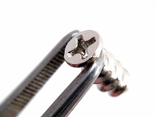 Image showing Screw in tweezers