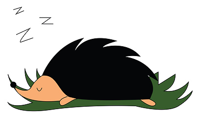 Image showing Sleeping hedgehog illustration vector on white background 