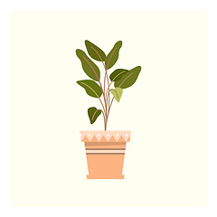 Image showing A little green plant vector or color illustration