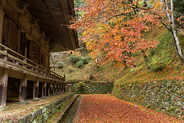 Image showing Japanese temple and maple tree