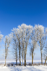 Image showing Snow drifts in winter