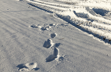 Image showing Footprints of a man