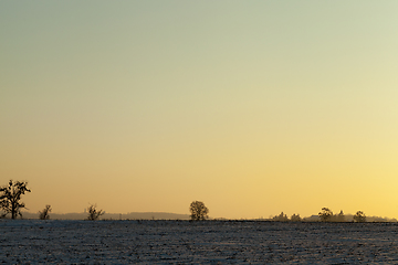 Image showing Winter time of the year, close-up