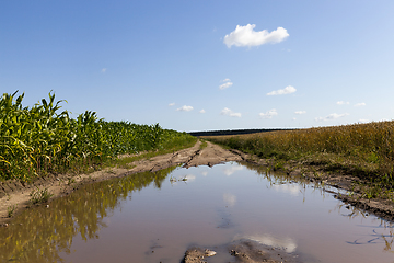 Image showing Dirty rural road