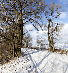 Image showing Snow drifts in winter