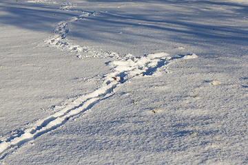 Image showing Footprints of a man