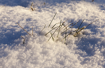 Image showing After snowfall