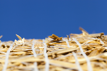 Image showing bales of straw