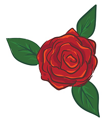 Image showing Rose illustration vector on white background 
