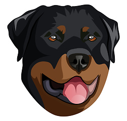 Image showing Rottweiler illustration vector on white background