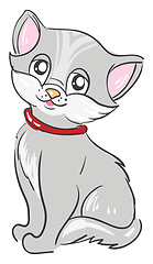 Image showing Cute grey cat 