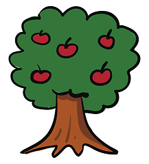 Image showing A big apple tree vector or color illustration