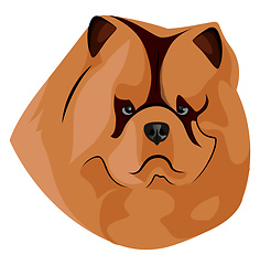 Image showing Fat Chow Chow illustration vector on white background