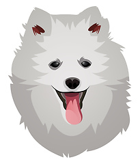 Image showing Pomeranian illustration vector on white background