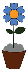 Image showing A little blue flower vector or color illustration