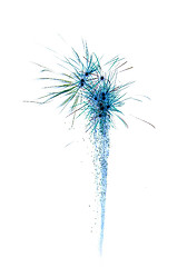 Image showing abstract celebration firework