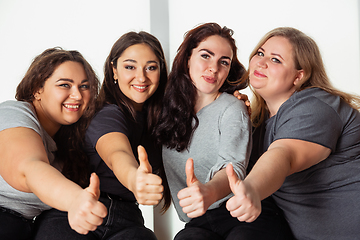 Image showing Young women in casual clothes having fun together. Bodypositive concept.