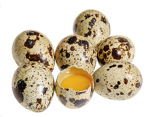 Image showing some quail eggs