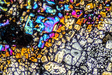 Image showing Ammonium sulfate microcrystals