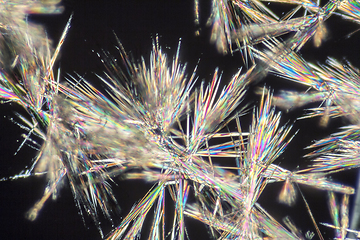 Image showing spiny micro crystals