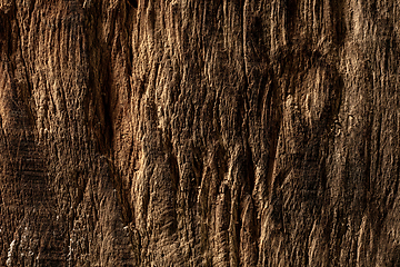 Image showing Close up shot of surface texture for background