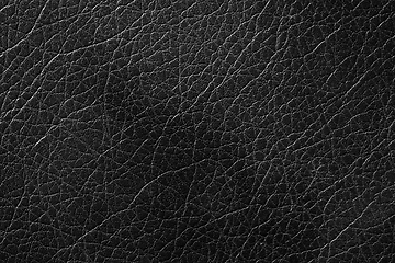 Image showing Close up shot of surface texture for background