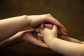 Image showing Close up of female and kid\'s hands doing things together, family, home concept