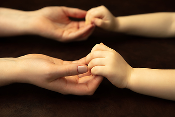 Image showing Close up of female and kid\'s hands doing things together, family, home concept