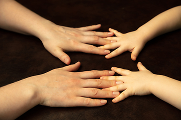 Image showing Close up of female and kid\'s hands doing things together, family, home concept