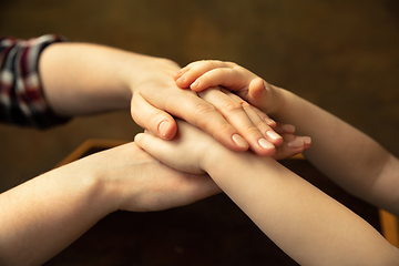 Image showing Close up of female and kid\'s hands doing things together, family, home concept