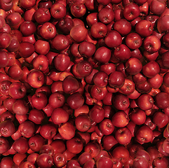 Image showing Pattern made from red apples. Top view, flat design. Healthy food.