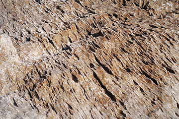 Image showing Sandstone stone surface.