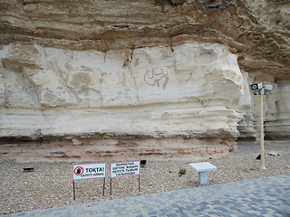 Image showing Drawing of a camel on a rock.