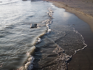 Image showing Sandy coast of the Caspian Sea.