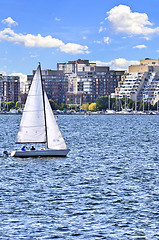 Image showing Sailing in Toronto harbor