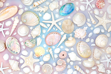 Image showing Large Collection of Seashells on Rainbow Sky Background