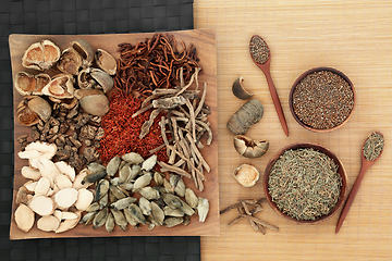 Image showing Natural Chinese Plant Medicine for Herbal Remedies