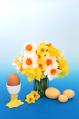 Image showing Easter Eggs and Daffodil Flower Still Life