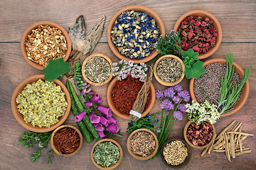 Image showing Alternative Herbal Medicine with Herbs and Flowers