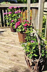 Image showing Flower pots on house deck