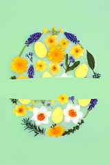 Image showing Abstract Easter Egg Shape with Eggs and Flowers