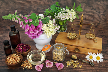 Image showing Healing Herbs and Flowers for Alternative Remedies