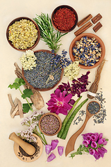 Image showing Healing Herbs for Health ad Wellness