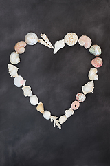 Image showing Abstract Heart Shaped Minimal Sea Shell Wreath