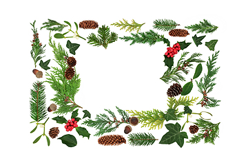 Image showing Christmas and Winter Natural European Floral Background  